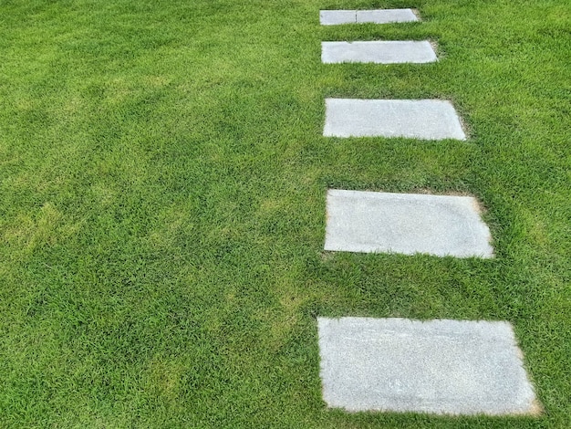 庭の小道 芝生の飛び石 成功への道 マイルストーンのコンセプト プレミアム写真