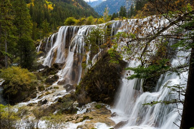 Premium Photo | Pearl shoal waterfall in jiuzhaigou national park ...