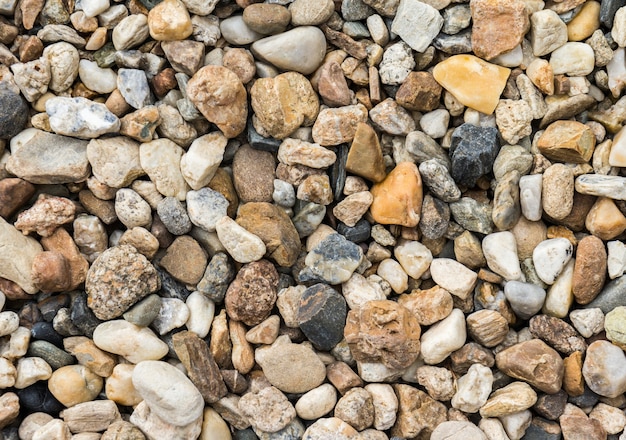 Фото речных камней
