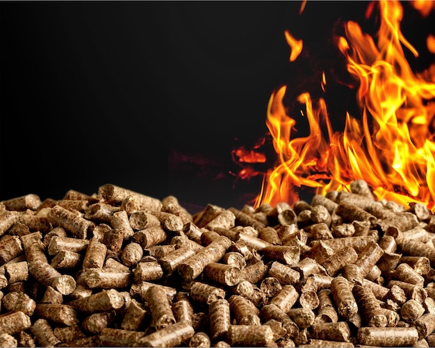 Premium Photo | Pellets biomass- close up on background