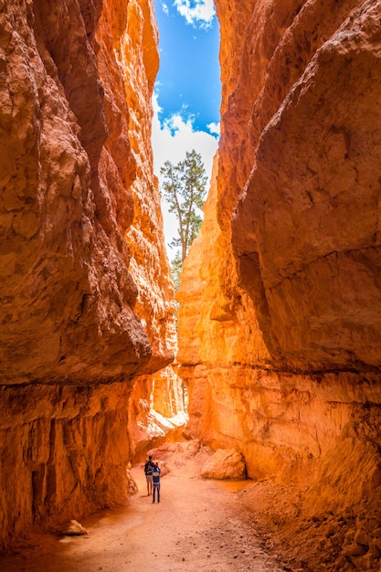 People On Hiking Trip In Bryce Canyon National Park Utah Usa