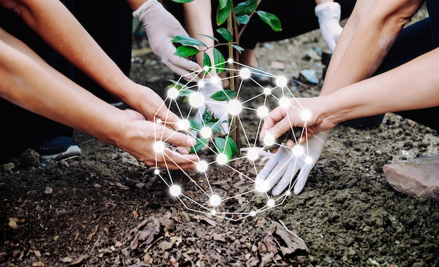 Premium Photo | People planting trees to protect the environment the ...