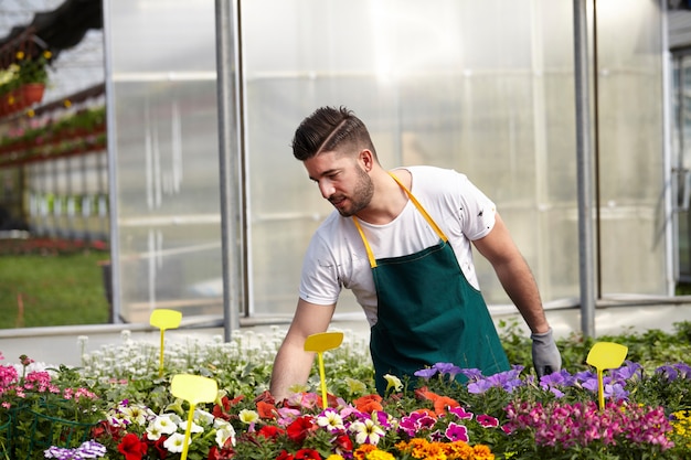 Premium Photo | People working in a garden store