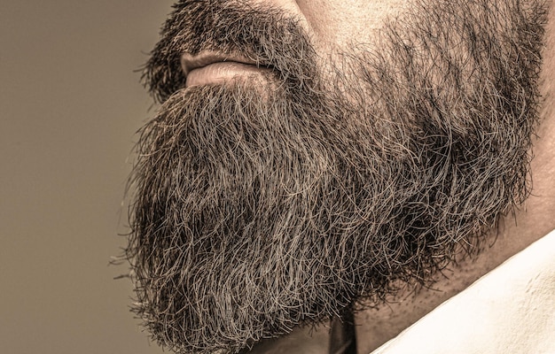 Premium Photo | Perfect beard. close-up of young bearded man. close up ...