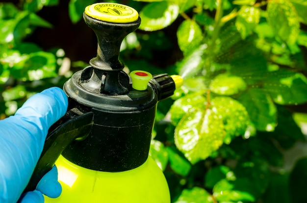 insecticides and pesticides for plants insecticides and pesticides for plants