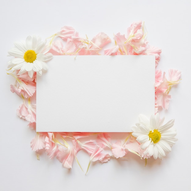 Petals and chamomiles near paper sheet Free Photo Petals and chamomiles near paper sheet Free Photo