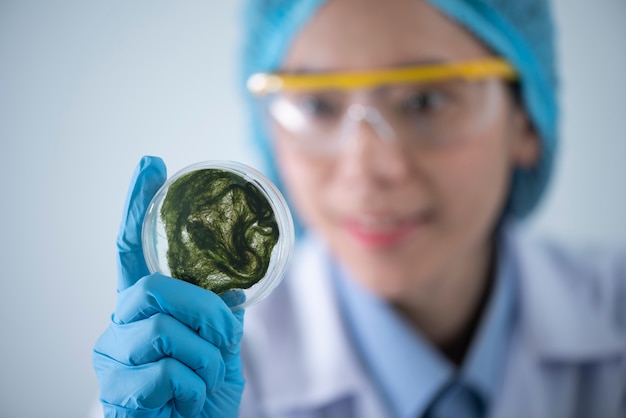 Photobioreactor in lab algae fuel biofuel industry. algae fuel Premium Photo