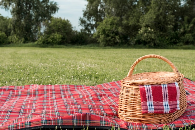 picnic basket with blanket