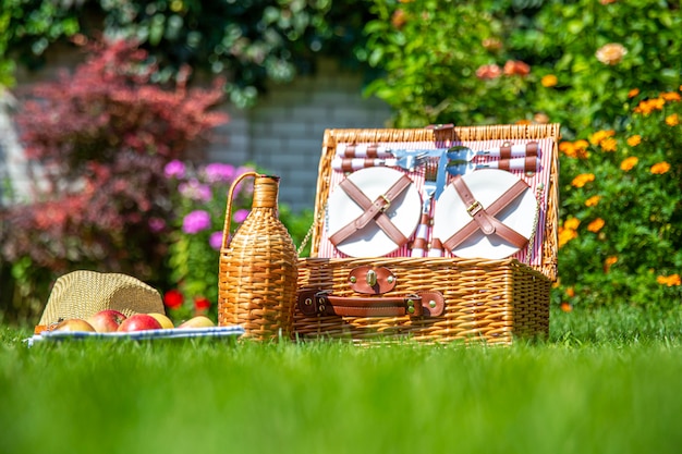 Picnic basket on green sunny lawn in the park Photo | Premium Download