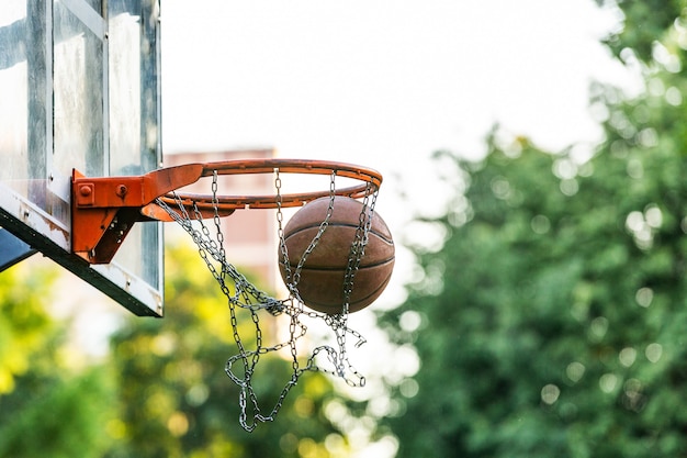 premium-photo-picture-of-a-basketball-field-goal-with-the-trees