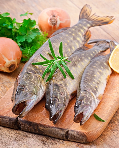 premium-photo-piece-of-fresh-raw-fish-in-bowl