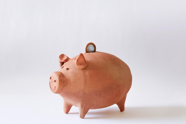 Premium Photo | Pig coin with brazilian coins isolated on white background