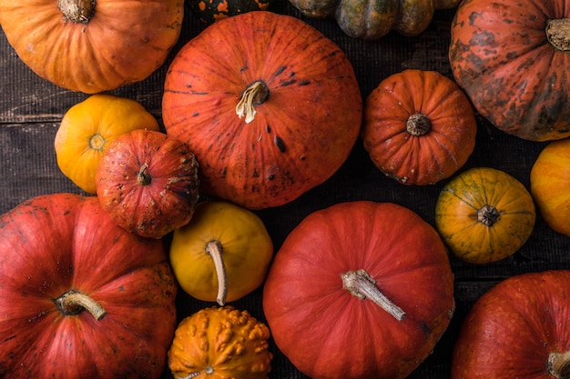 Premium Photo | Pile of many multi colored pumpkins and gourds of ...