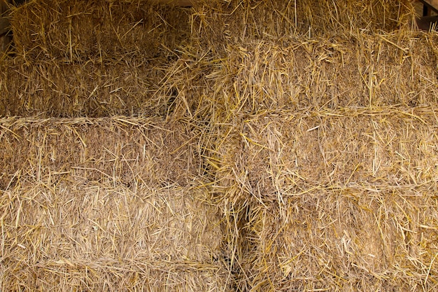 Image result for piles of straw"