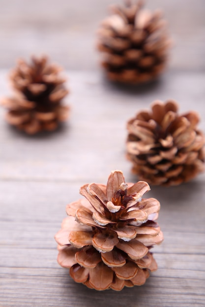 Premium Photo | Pine cone on a grey wooden background