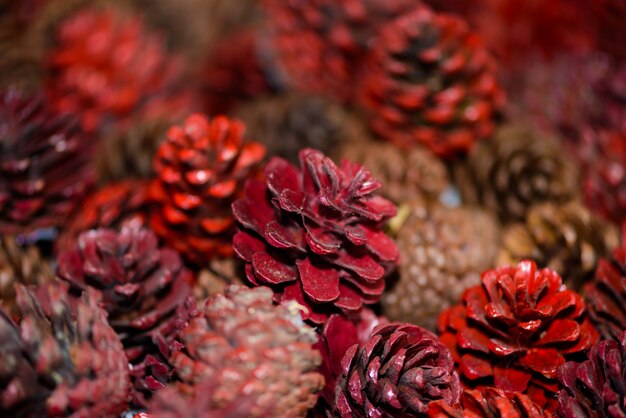 Premium Photo | Pine cones nice and dry, a red dye