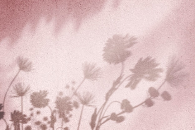 花のフィールドの影とピンクの背景 無料の写真