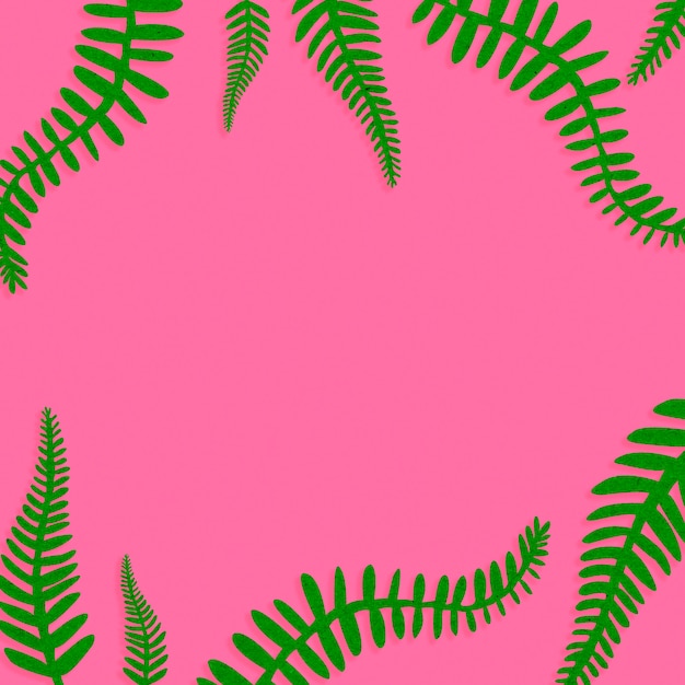 Free Photo | Pink background with green leaves