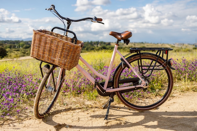 pink bicycle with basket