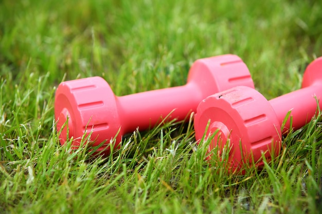 Free Photo | Pink female dumbbells on a grass