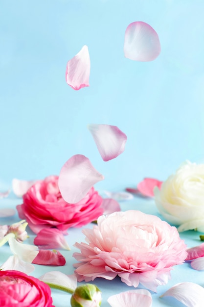 水色の背景のコピースペースにピンクの花と花びら プレミアム写真
