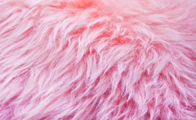 ピンクの毛皮背景テクスチャ 動物ウールテクスチャ ふわふわの自然ウール プレミアム写真