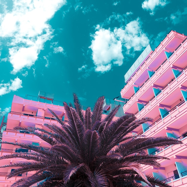 Premium Photo | Pink minimal fashion. palm tropics location. art design