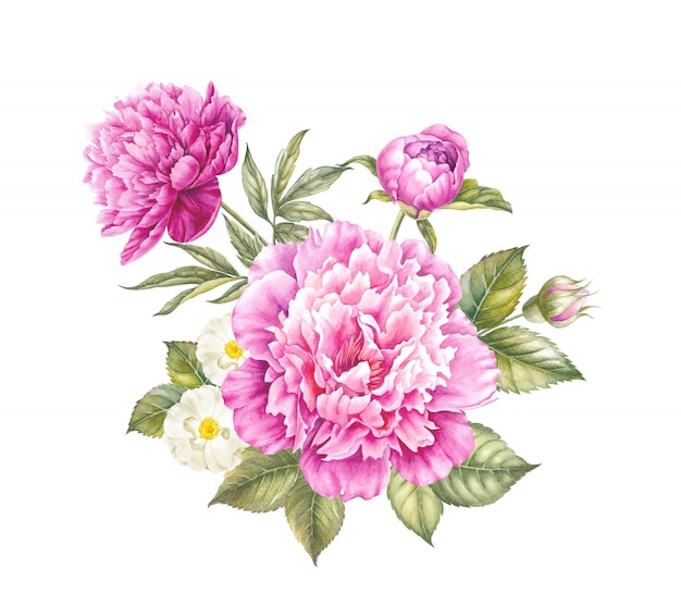 Premium Photo | Pink peony flower watercolor illustration.