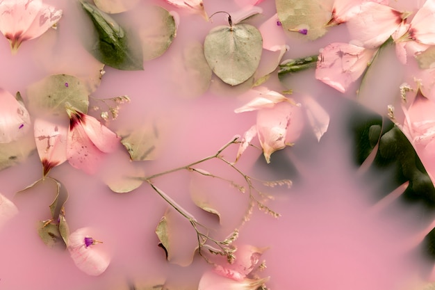 無料の写真 ピンクの花びらとピンク色の水の葉