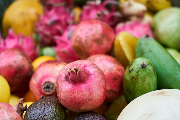 Pink pomegranate | Free Photo