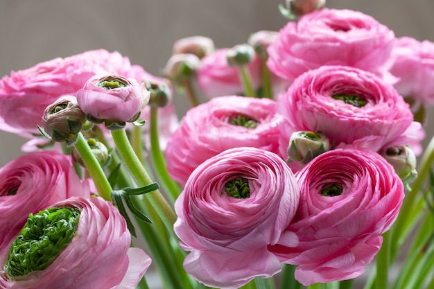 Premium Photo | Pink ranunculus bouquet background. macro. close-up