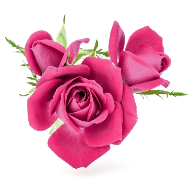 Premium Photo | Pink rose flower bouquet isolated on white background ...