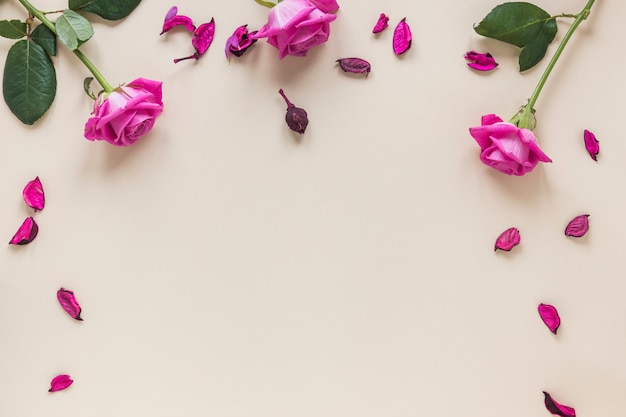 テーブルの上の花びらとピンクのバラの花 プレミアム写真