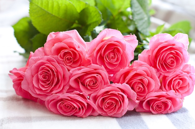 Premium Photo | Pink rose with water droplets on a white background