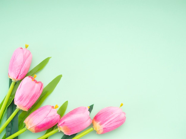 Premium Photo | Pink tulips green paper background