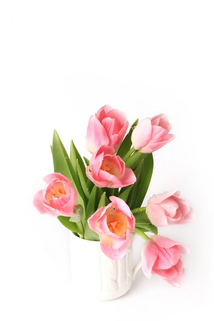 Premium Photo | Pink tulips isolated on white background spring