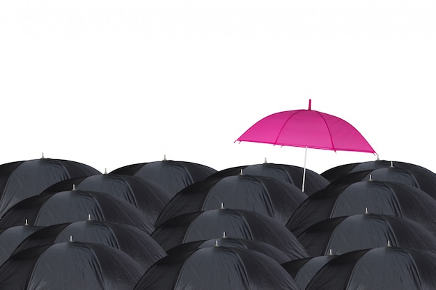 pink and black umbrella