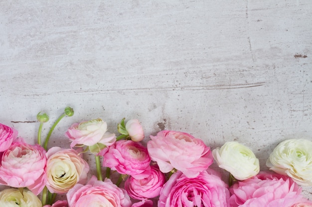 Premium Photo | Pink and white ranunculus flowers border on aged white ...