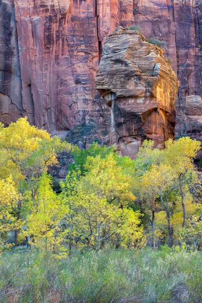 Premium Photo | Piulpit rock in zion national park utah