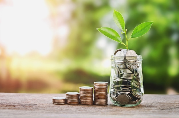 Premium Photo | Plant growing on coins glass jar and concept money saving