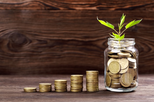 Premium Photo | Plant growing in coins glass jar for money