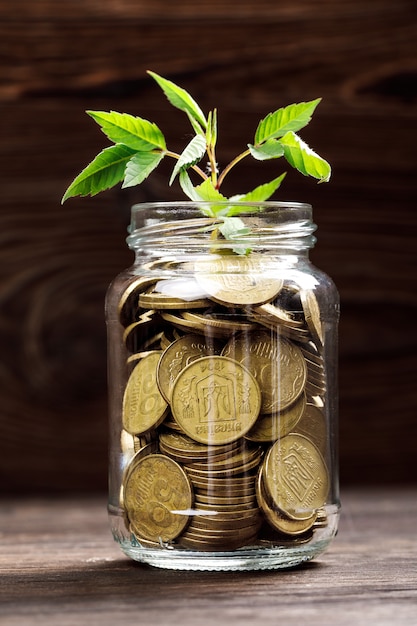 Premium Photo Plant Growing In Coins Glass Jar For Money