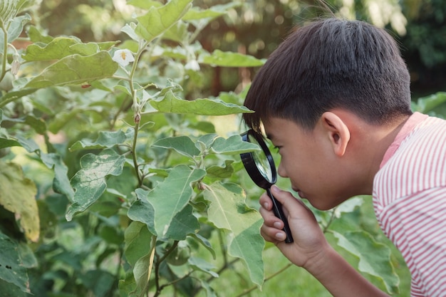 plant pathology experiments