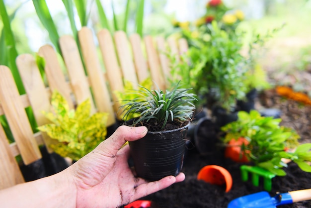 Plant pot in hand for planting in garden Premium Photo