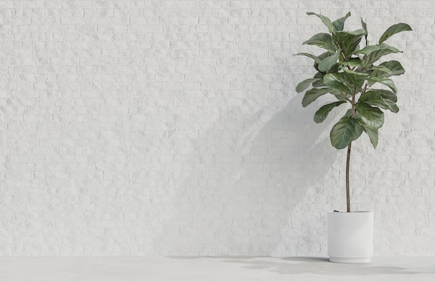 Premium Photo Plant On White Brick Wall Background Minimalist Style