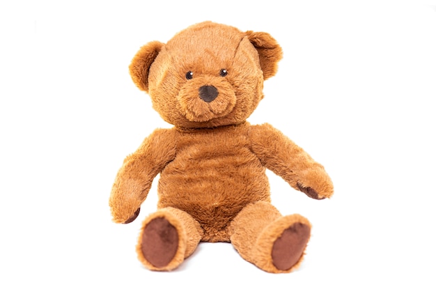 plush brown bear