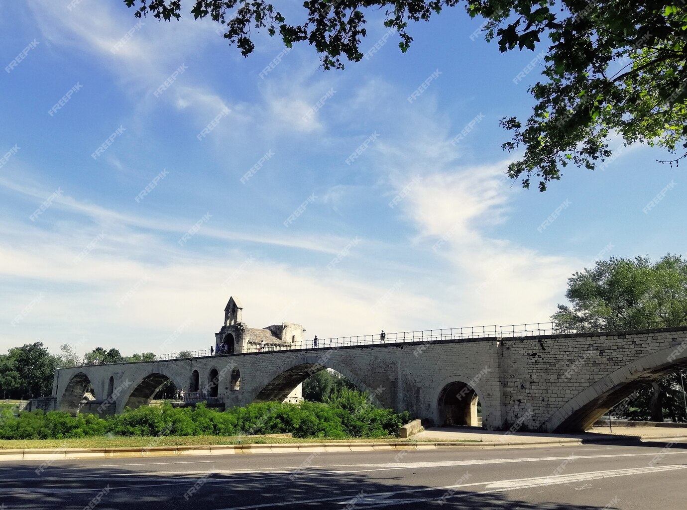 Free Photo | Pont d'avignon surrounded by the river and greenery under ...