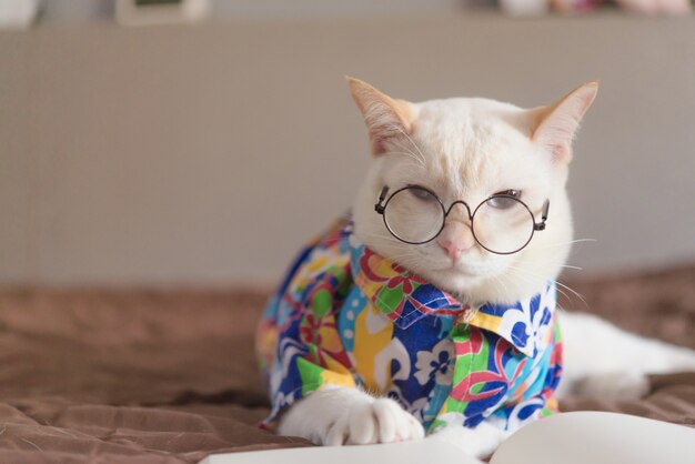 Premium Photo | Portrait of white cat wearing glasses and reading book