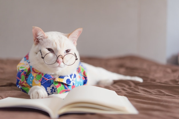 Premium Photo Portrait Of White Cat Wearing Glasses And Reading Book