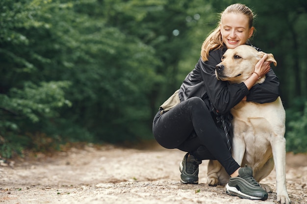 Cães de ajuda social